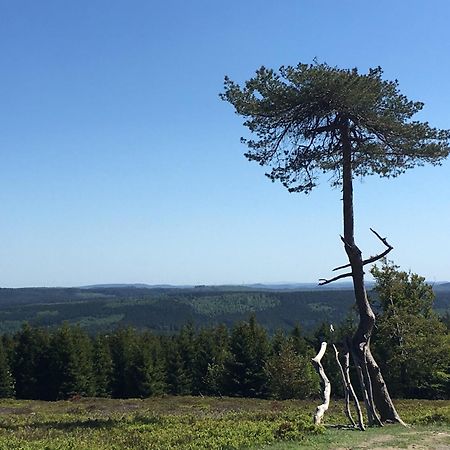 Berg- Und Seeblick Winterberg Extérieur photo