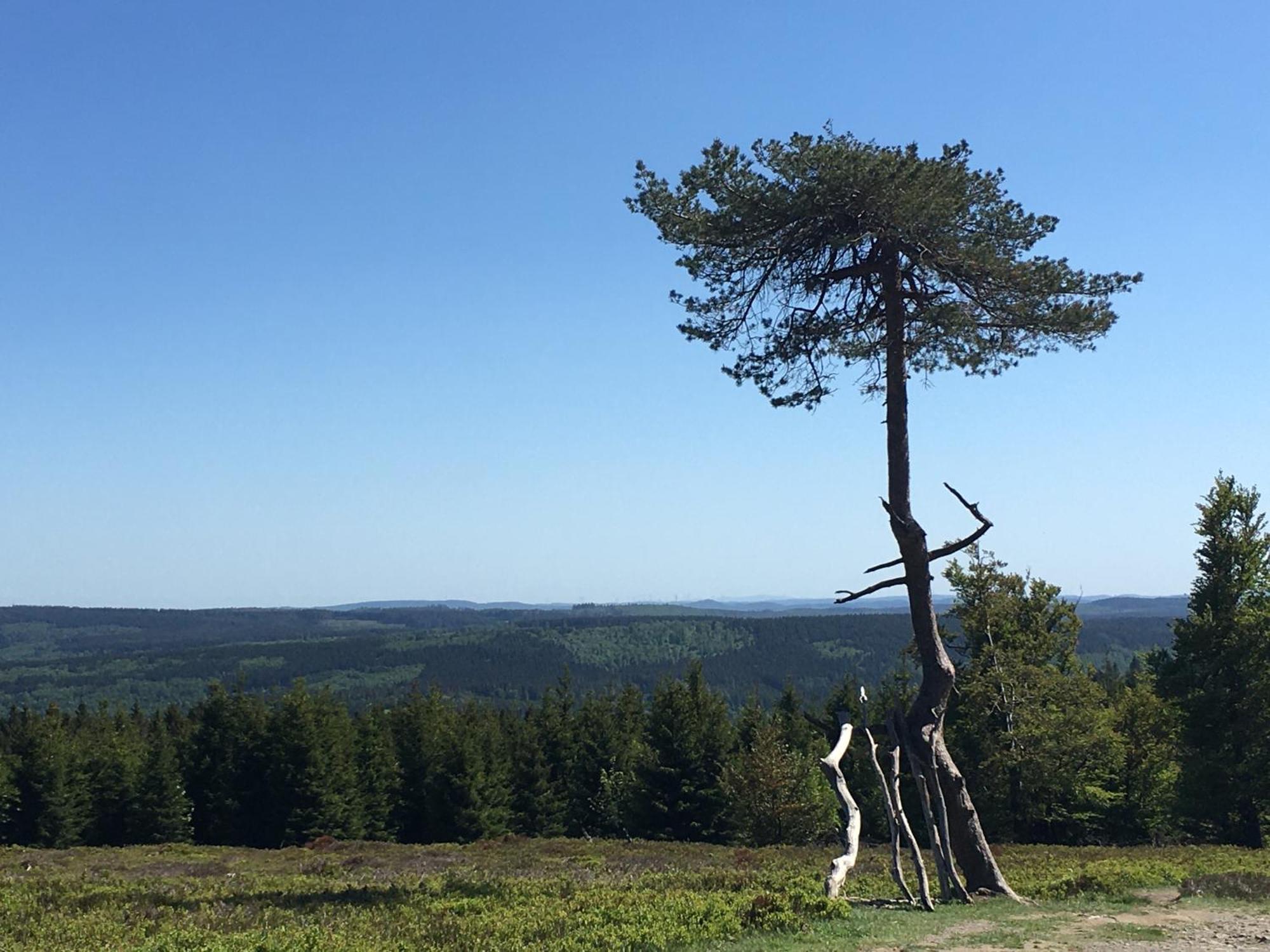 Berg- Und Seeblick Winterberg Extérieur photo