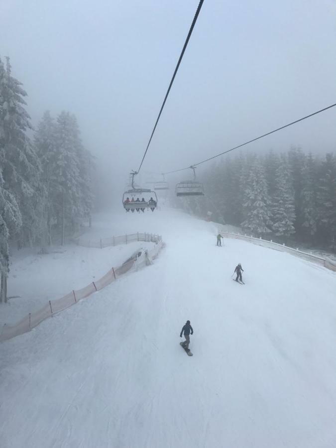 Berg- Und Seeblick Winterberg Extérieur photo